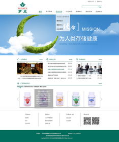 企業(yè)網(wǎng)站設(shè)計(jì) 構(gòu)建數(shù)字時(shí)代的品牌門(mén)面與業(yè)務(wù)引擎