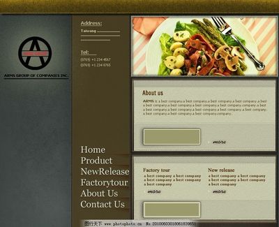 ARMS網(wǎng)站設(shè)計 打造專業(yè)高效的企業(yè)網(wǎng)站視覺與交互體驗